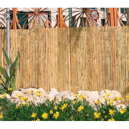 CAÑIZO MEDIA CAÑA NATURAL