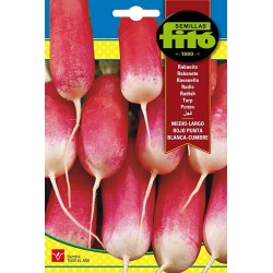 RABANITO MEDIO LARGO PUNTA...