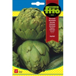 ALCACHOFA VERDE GLOBO...