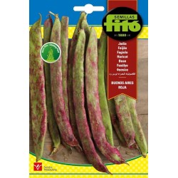 SEMILLAS JUDIA BUENOS AIRES...